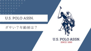 【ダサい？】年齢層は？US POLO ASSNについて徹底解説！